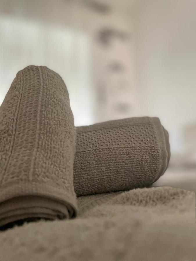 L'Anima Del Viaggio A Torino Apartment Bagian luar foto